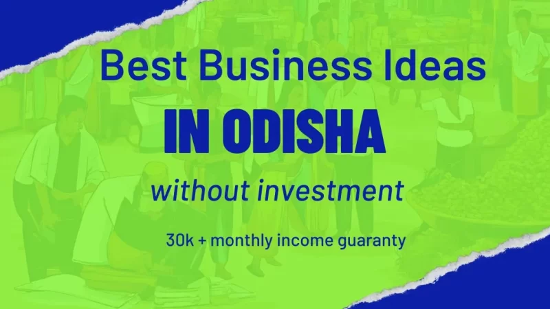 Best business ideas in odisha village without investment